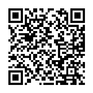 甚至每次进山打猎采药也只是中规中矩的收获而已二维码生成