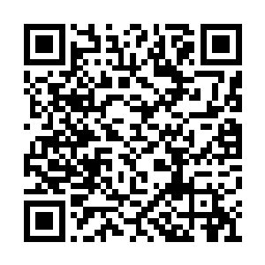甚至比其他神王能够更轻易的提升修为或者突破二维码生成