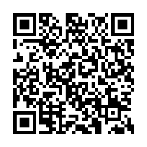 甚至没兴趣问他是谁――杨轻风都是中阶天仙了二维码生成