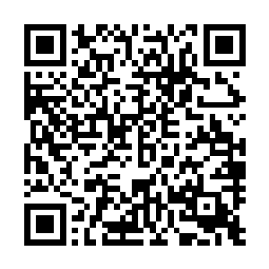 甚至没有她神志不清时候的那种激动或者对巴克的眷恋不舍二维码生成
