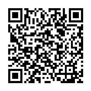 甚至给他们每人都配上了相同色系的面罩和丛林迷彩加圆边帽二维码生成