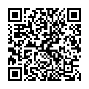 甚至翻拍剧百分之九十五以上连生成网络资源的资格都没有二维码生成