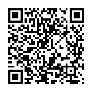 甚至能够在冥河之中跟那白色巨蟒斗个不分上下呢二维码生成