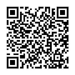 甚至能清晰体会到那膈人的骨节不上不下卡在她喉骨处二维码生成