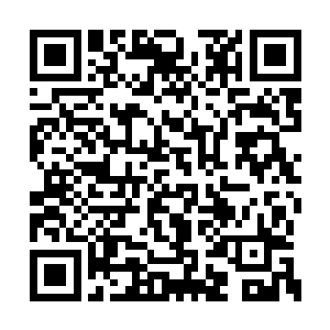 甚至花了一天的时间在茅家的藏宝室中卸下宝物二维码生成