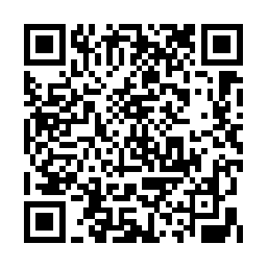 甚至被烈焰烧灼成了一团团不可分割的诡异雕像二维码生成