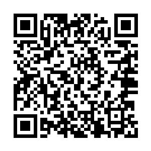 甚至觉得以后可以出演任何极度需要演技的角色二维码生成