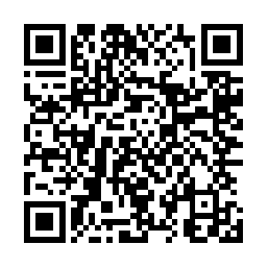 甚至让人生出一种甘愿就此死在飞仙斩天剑下的冲动和甘心二维码生成