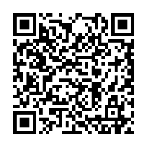 甚至说到其他人哭笑不得甚至是精神崩溃的自恋狂二维码生成