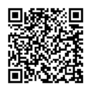 甚至还无缘无故得到这么逆天宝物……心里总觉得有些不踏实二维码生成