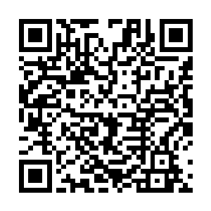 甚至还有一些实力较弱的人在这次的变故中丢失了姓命二维码生成