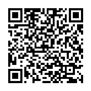甚至还有一些身影中散发着属于圣王境的强横气息二维码生成