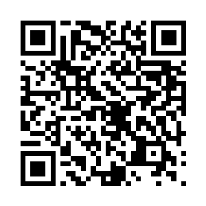 甚至还有可能直接形成一个龟背上面的城市二维码生成