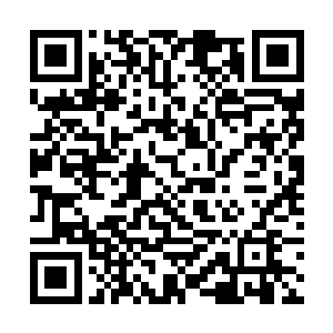 甚至还有可能连血河之主自己都不知道自己在说什么二维码生成