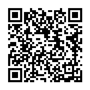 甚至连一点痛苦的表情都没看到……到底怎么回事二维码生成