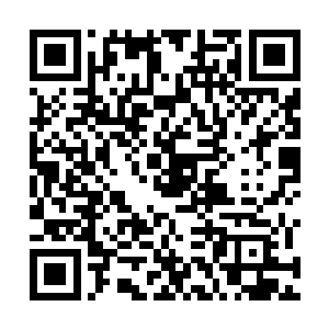 甚至连体内的骨头骨架都有若照x光那样显示得清清楚楚的二维码生成