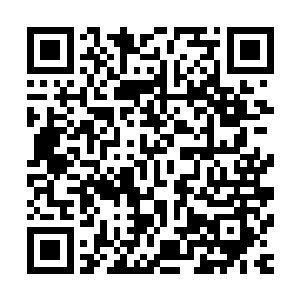 甚至连先前被买走的那名女修都划了进去――既然见到了人族二维码生成