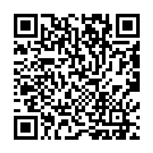 甚至连在办公室里的唐伊诺都能隐约听到他们都在讲些什么二维码生成