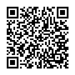 甚至连天武一惯的扯着破锣嗓子叫骂的声音也没听到二维码生成