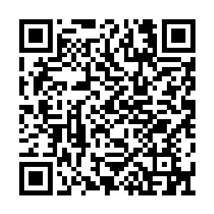 甚至连旁边那些每天负责捕杀街上野狗的警察们二维码生成