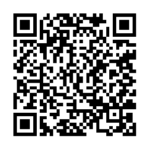 甚至连电脑硬盘里也渐渐绿色环保无污染了起来……二维码生成