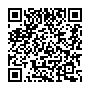 甚至连白骨洞的兵将很多都被这风给刮起到空中二维码生成