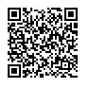 甚至连追着自己跑下来的数以万计的火灵兽同样不见了二维码生成