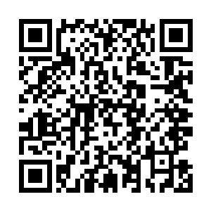 甚至连那曹寅身边的诸多守将都忍不住激动得颤抖了起来二维码生成