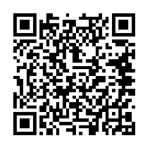 甚至连防守方的战争机器一不小心触碰到球形闪电二维码生成