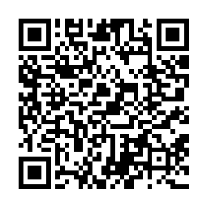 甚至那些妖兵和狼牙关的将士都能听到自己加速的心跳声二维码生成