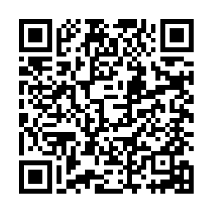 甚至都不用对后座咬牙切齿平抑情绪的年轻美女说什么二维码生成