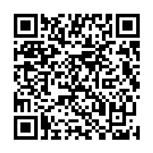 甚至都忘记了体内的神识还遵循着某种轨迹在修炼着功法二维码生成