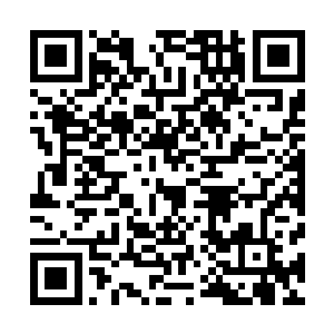 甚至都破不开至尊灵兽的防御……反倒是至尊灵兽少有不爽二维码生成