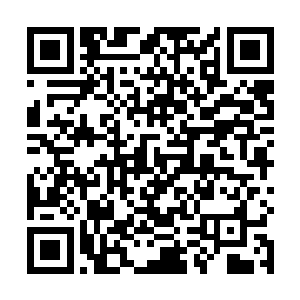 甚至隐隐约约间竟是有着超越大罗金神巅峰强者的速度二维码生成