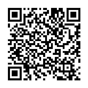 甚至韩风本身也因为这股君王霸主的气势而被影响了动作二维码生成