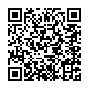 甚至黄长老都感觉眼前见到的这一切都有些不太真实二维码生成