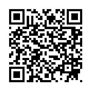 生命延续时间被足足延长了五分之一二维码生成