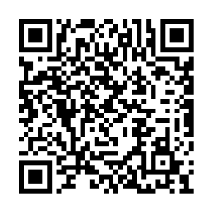 生怕会和那些战斗力看起来不弱的光头党打起来二维码生成