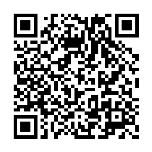 生怕到时候皇哲齐和韩风先联合起来将他们干掉二维码生成