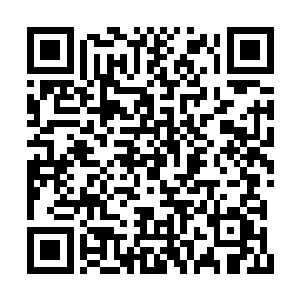 生怕有一些妖兽或者其他的修真者打扰到王破风二维码生成