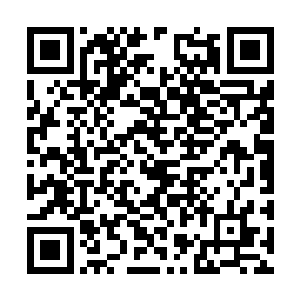 生怕被连累的官员也都再次亲切的邀请自己吃个饭二维码生成