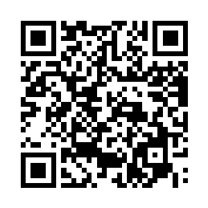 生成庞大的真元力在火舞的经脉中流淌二维码生成