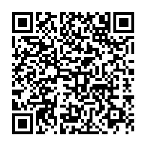 生活在其他大陆的那些王公贵族和有钱人只能算作没有文化的野蛮人二维码生成