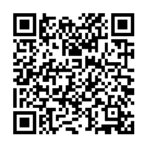 生活在这里的穿沙甲们非常有秩序地排队过来领取食物二维码生成