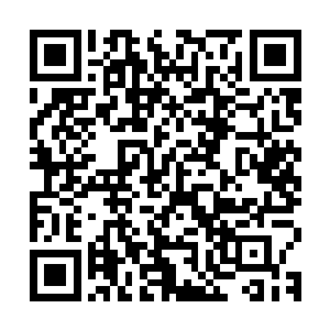 生物计算机的最终目标是建造出能思考有感情的超级仿人类大脑二维码生成
