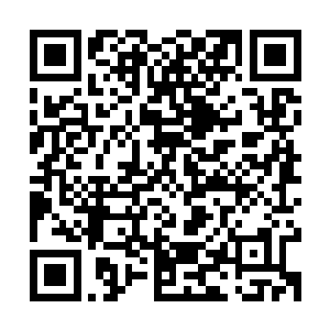 生物院的很多同学对于苏青黛上课就不在的现象已经习以为常了二维码生成