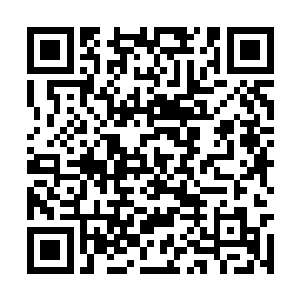 用一件宝器来学习妖族的文字张潇晗又哪里吃亏了二维码生成