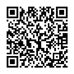 用一种类似于追星族般的狂热目光远远地直勾勾地盯着自己二维码生成