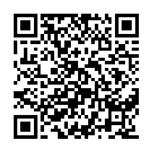 用上精神力的许盼盼和万里有爱比起来毫不逊色二维码生成