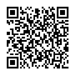 用两天的时间与东北督护府的有司办理完相关手续二维码生成